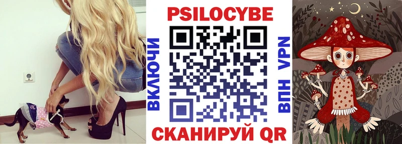 Галлюциногенные грибы Cubensis  Киселёвск 